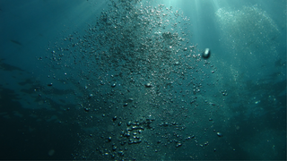 ~ Sea Magik